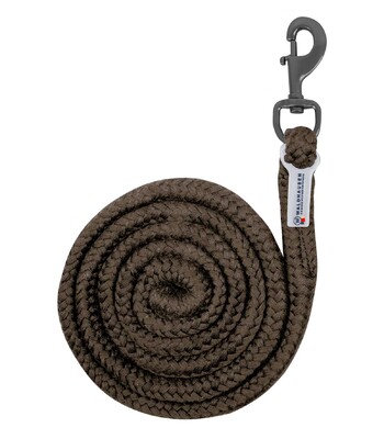 Waldhausen Plus Lead Rope, carabiner
