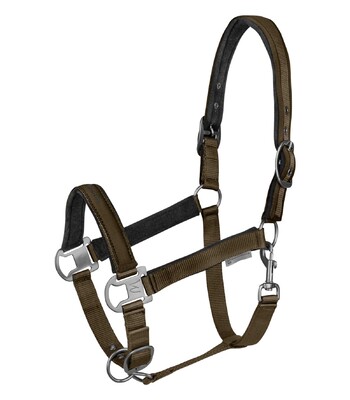 Waldhausen Athletic Halter
