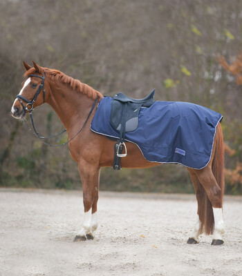 Waldhausen Comfort Waterproof Exercise Rug