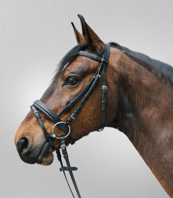 Waldhausen Star Bridle Diamond