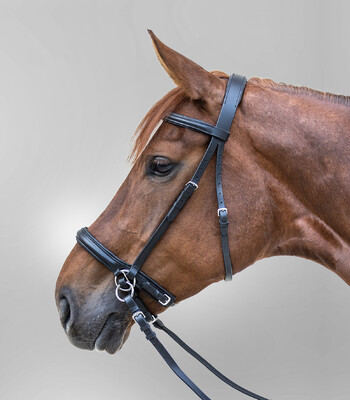 Waldhausen Star Bitless Bridle