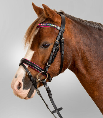 Waldhausen Star Bridle Pinky
