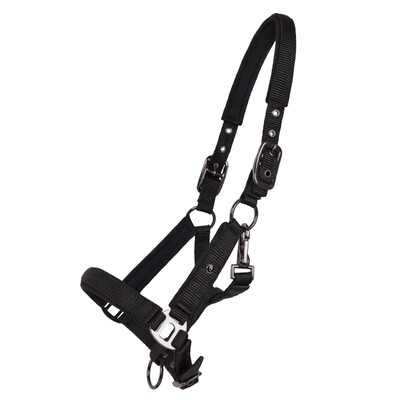 QHP Head collar foal Deluxe