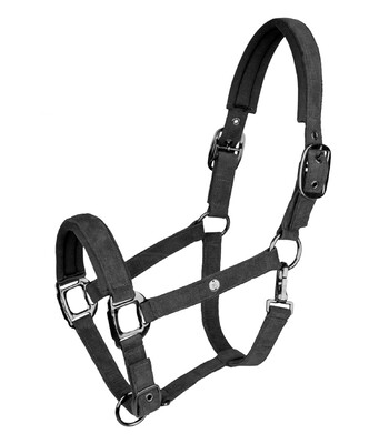 Waldhausen Halter St. Gallen