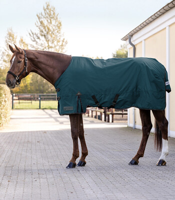 Waldhausen Arctic Outdoor Rug 200g