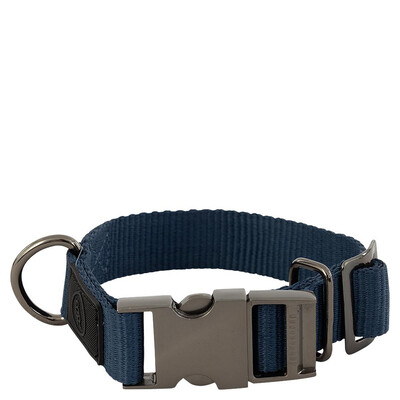 BR Dog Collar