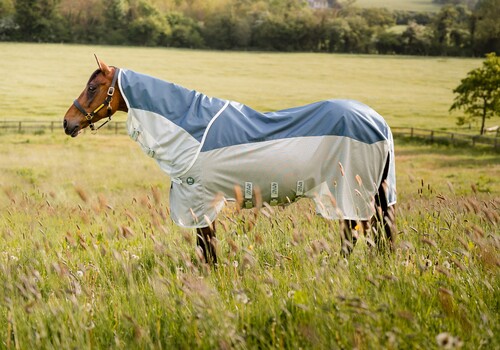 Horseware Amigo AmECO Combi Rain- and Fly Rug