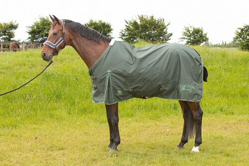 Harry's Horse Rain Rug 0gr Thor