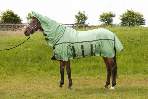 Harry's Horse Flysheet Mesh-Pro Belly