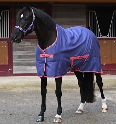 Bucas Freedom Twill Summer Rug