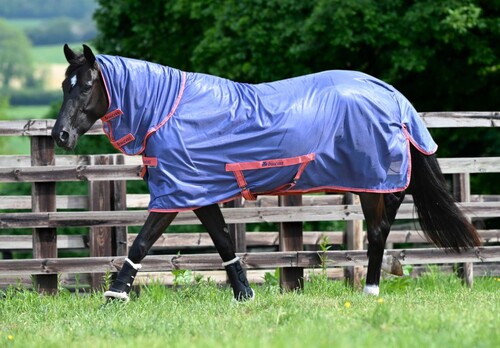 Bucas Freedom Fly Sheet with neck