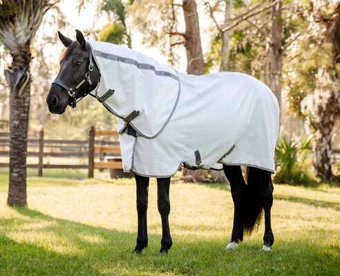 Horseware Amigo Summer Sheet Plus 