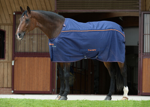 Bucas Recuptex Light Therapy Rug