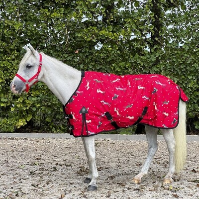 DKR Sports Mini Luxury Rain Rug with fleece-lining