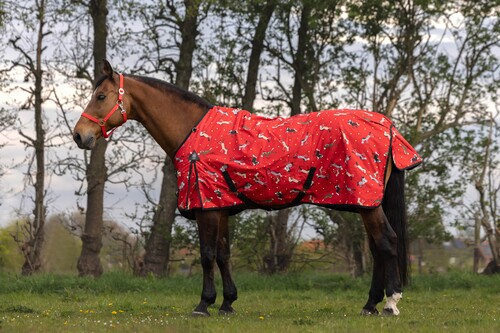 DKR Sports Luxury Rain Rug with Fleecelining