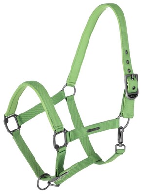 Covalliero Halter 
