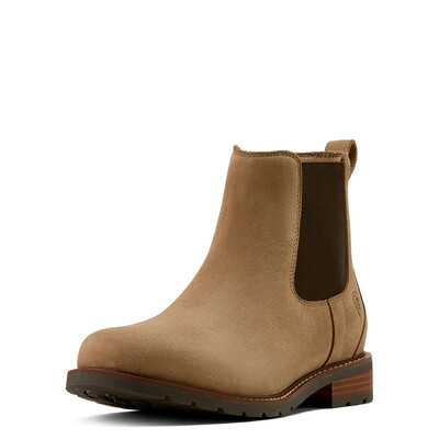 Ariat Wexford Chelsea Jodhpur Men