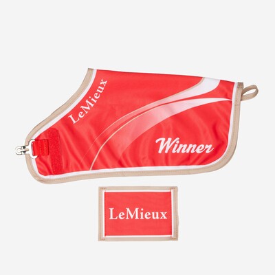LeMieux Toy Pony Winners Rug