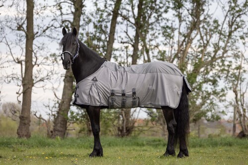 DKR Sports Combo Rug Summer Rain Big Neck