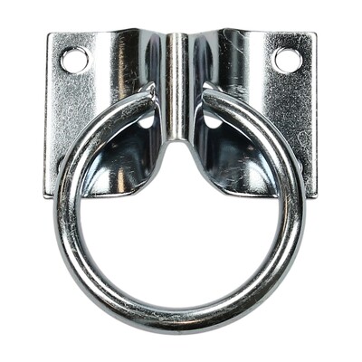 Wall Ring with Backplate