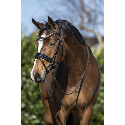 Horsegear Bridle HGBlush