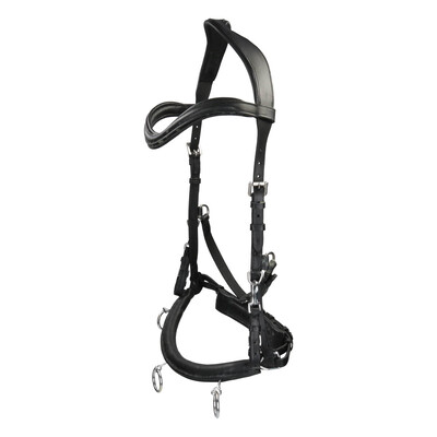 Free Horse Leather Cavesson
