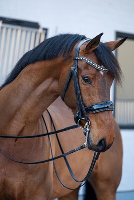 HB Showtime Double Bridle One in a Million