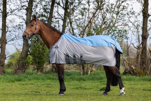 DKR Sports Mini Combo-rug Summer Rain