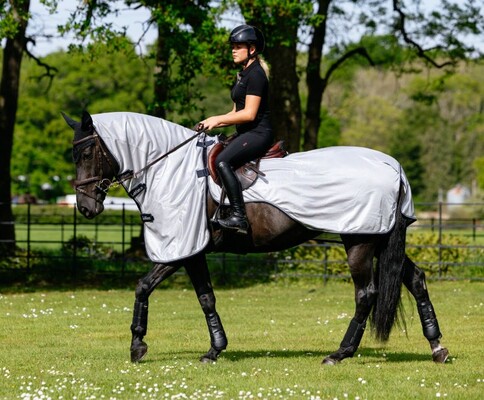 LeMieux Kudos Ride On Fly Rug
