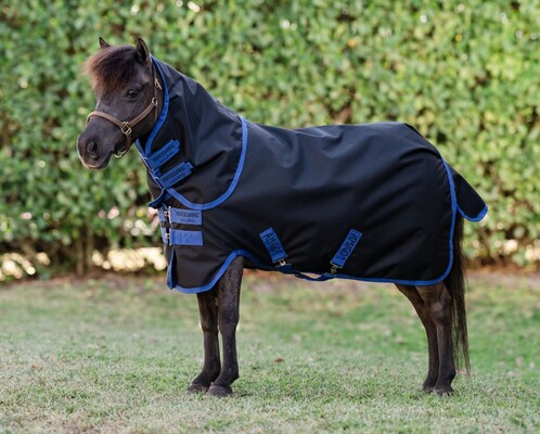 Horseware Amigo 900D Plus Petite Turnout 200g