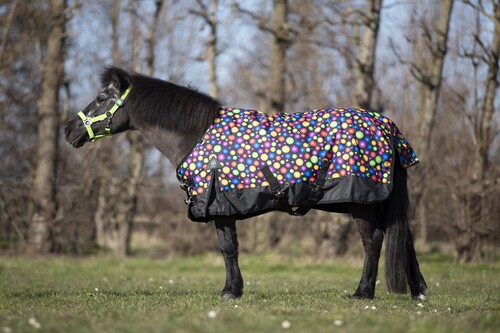 DKR Sports Mini Turnout Rug Luxe with Fleece Lining