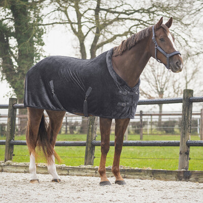 QHP Show Rug Sensisoft