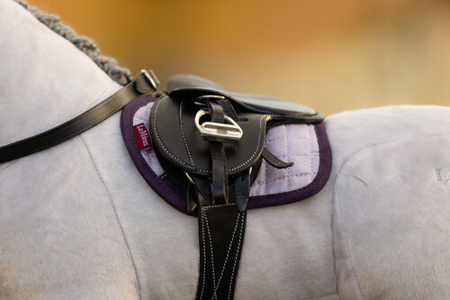 LeMieux Toy Pony Pad