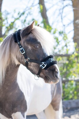 HB Nylon Cavesson Halter – Little Sizes
