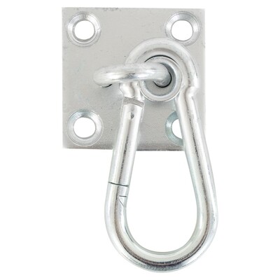 Snap Hook on Wall Plate