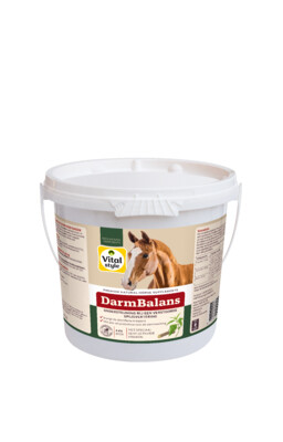 VITALstyle Darmbalans 4g