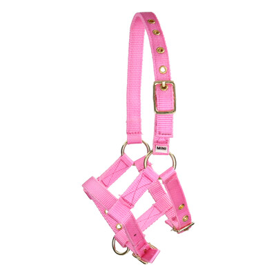 Norton Mini Foalhalter
