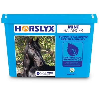 Horslyx Horslyx Mint Balancer 5kg