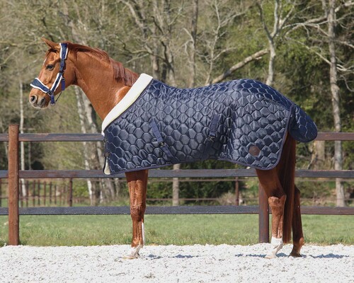 QHP Stable rug Classy