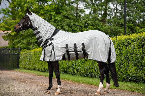 PresTeq Fly sheet SmartProtection