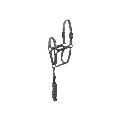 Anky Halter and lead Stones