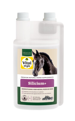 VITALstyle Silicium+ Horse 1L