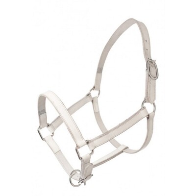 HB Leather Foal Halter