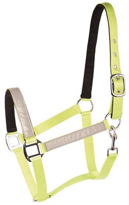 Harry's Horse Headcollar Reflective