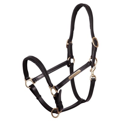 Halter Premiere leather+lined