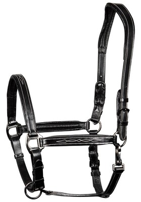 Harry's Horse Headcollar leather padded Supreme