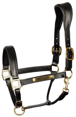 Harry's Horse Head collar leather Anatomic