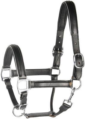 Harry's Horse Headcollar leather, black with piping