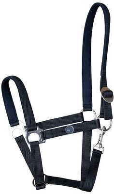 Harry's Horse Padded Halter