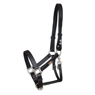 Equilibrium Stellar Safety Headcollar